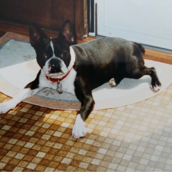 Meet your Posher, Marie - Picture 12 of 13